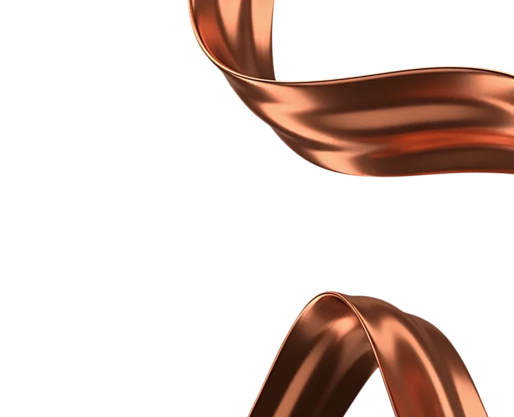 back1-Photoroom (1) 2